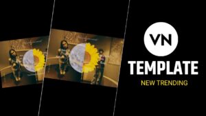 Main Ta Rehna Kol Tere Song Vn Template