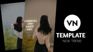 Dill De Chadaha Lagdi Yaa Vn Template Qr Code